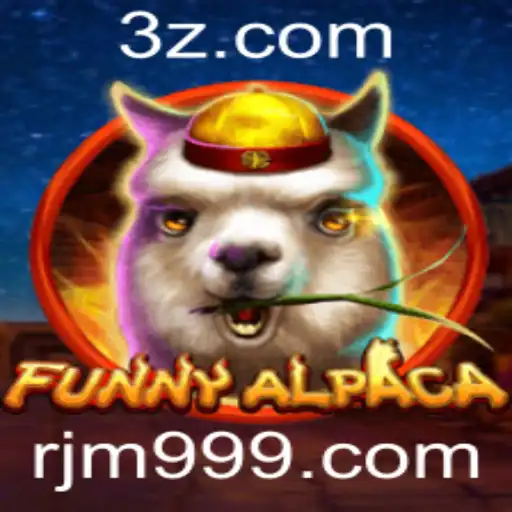 rjm9 Casino App
